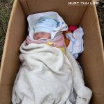 làm giấy khai sinh cho trẻ bị bỏ rơi