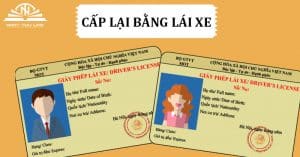Dịch vụ cấp lại giấy phép lái xe