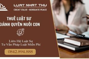 Hướng dẫn Thuê luật sư giành quyền nuôi con khi ly hôn