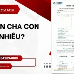 Phí nhận cha con, phí xác định cha mẹ con
